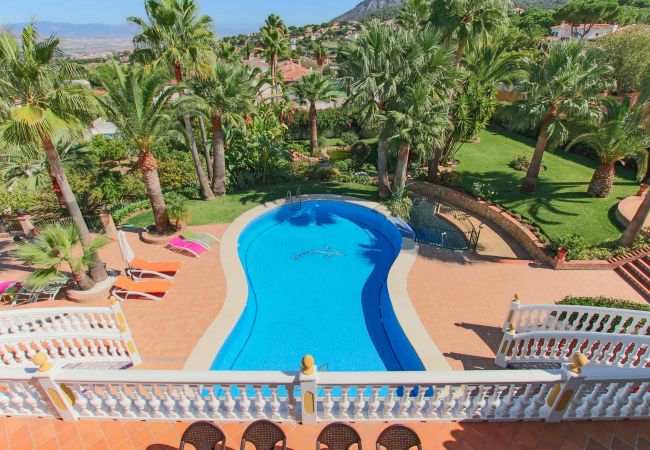Villa en Alhaurin de la Torre - TESS Villa El Oasis  Villa en Alhaurin de la Torre - TESS Villa El Oasis