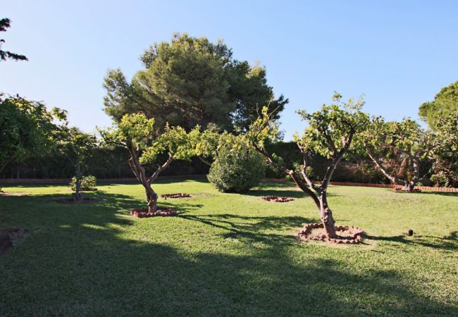 Villa en Alhaurin de la Torre - TESS Villa La Favorita  Villa en Alhaurin de la Torre - TESS Villa La Favorita