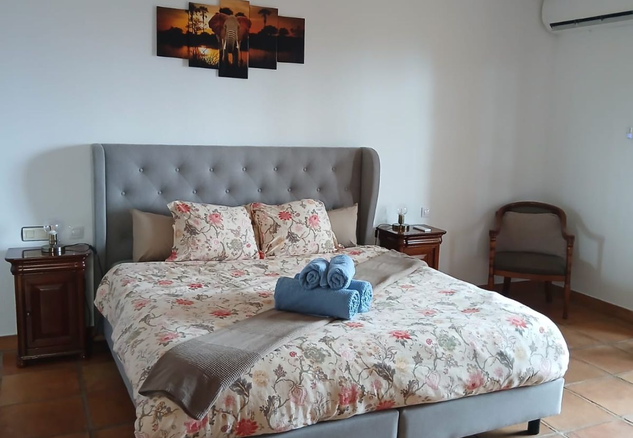 Villa en Alhaurin de la Torre - TESS Villa La Favorita 