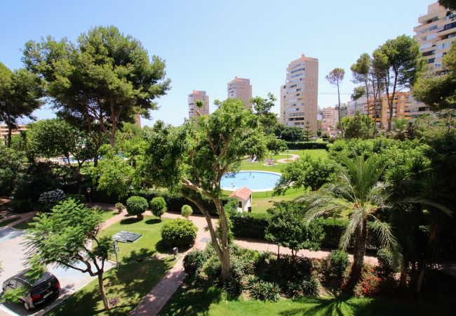 Apartamento en Torremolinos - TESS Playamar Beach La Torre Apartamento en Torremolinos - TESS Playamar Beach La Torre