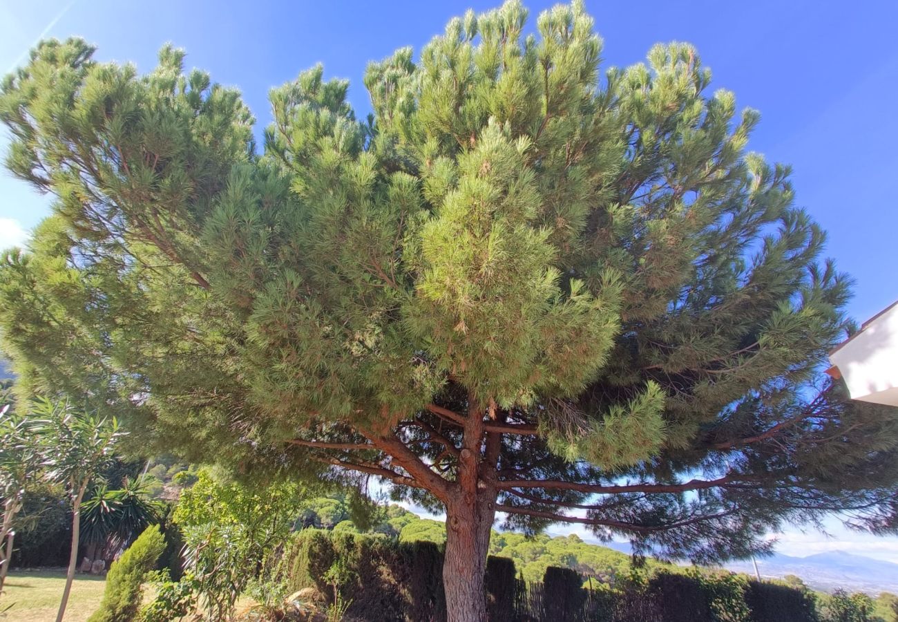 Villa en Alhaurin de la Torre - TESS Villa Andalucia