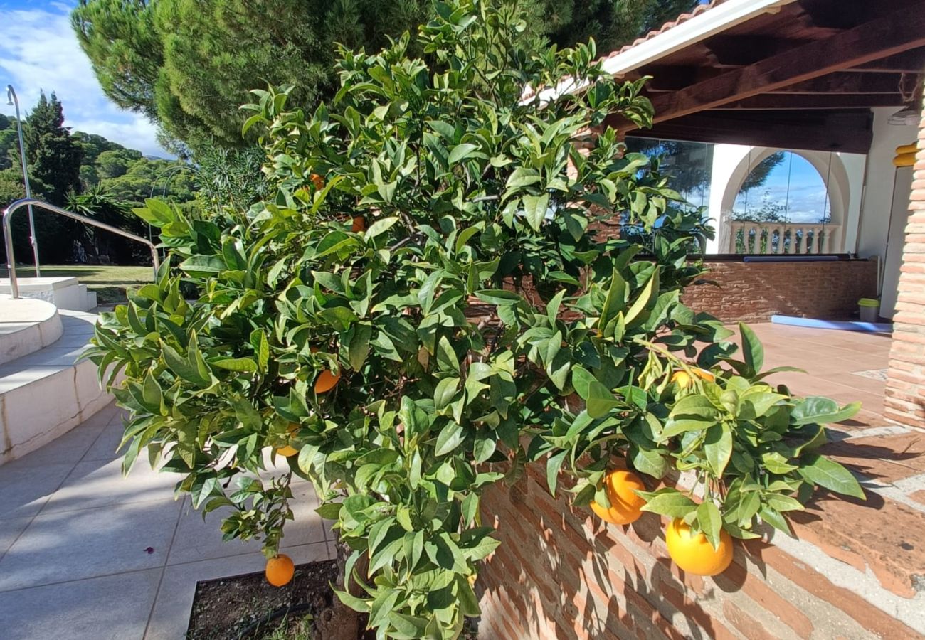 Villa en Alhaurin de la Torre - TESS Villa Andalucia