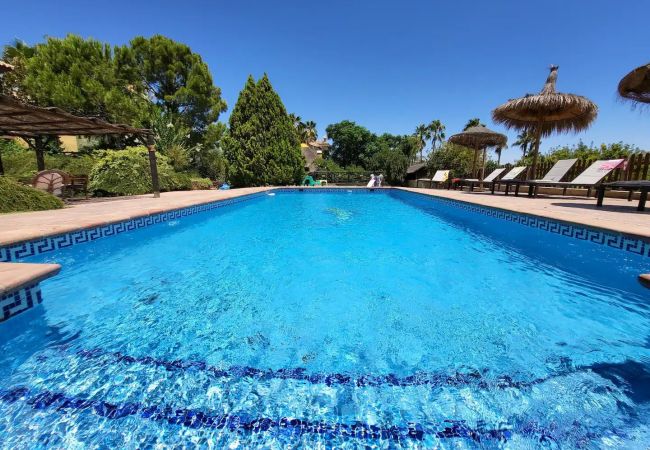 Villa en Alhaurin de la Torre - TESS CasAntillas con sabor a Las Antillas Villa en Alhaurin de la Torre - TESS CasAntillas con sabor a Las Antillas