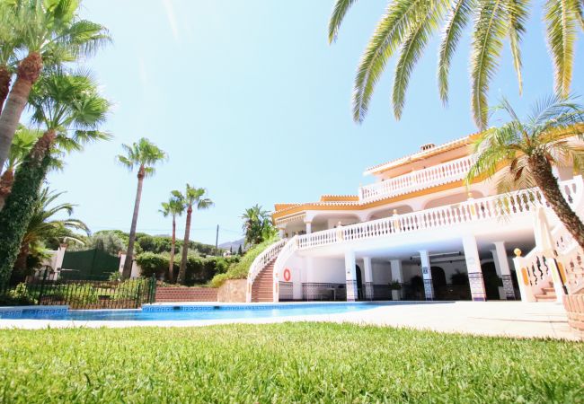 Villa in Alhaurin de la Torre - TESS Villa El Oasis  Villa in Alhaurin de la Torre - TESS Villa El Oasis