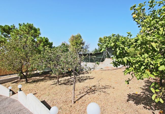 Villa in Alhaurin de la Torre - TESS Villa Arenas  Villa in Alhaurin de la Torre - TESS Villa Arenas