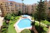 Apartment in Fuengirola - TESS Apartamento Las Camelias
