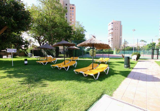 Apartment in Torremolinos - TESS Playamar Beach La Torre