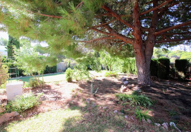 Villa in Alhaurin de la Torre - TESS Villa Andalucia Villa in Alhaurin de la Torre - TESS Villa Andalucia