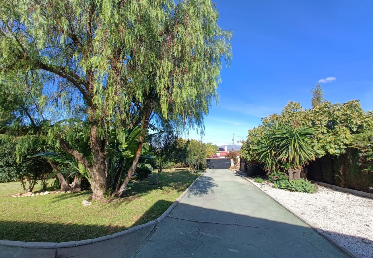 Villa in Alhaurin de la Torre - TESS Villa Andalucia