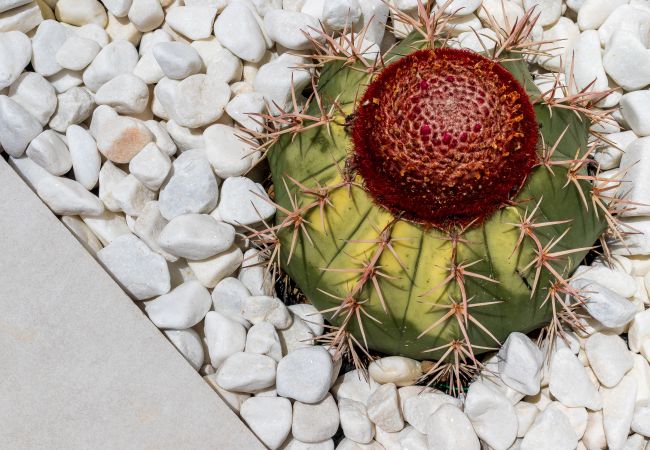 Villa in Alhaurin de la Torre - Villa Monica Villa in Alhaurin de la Torre - Villa Monica