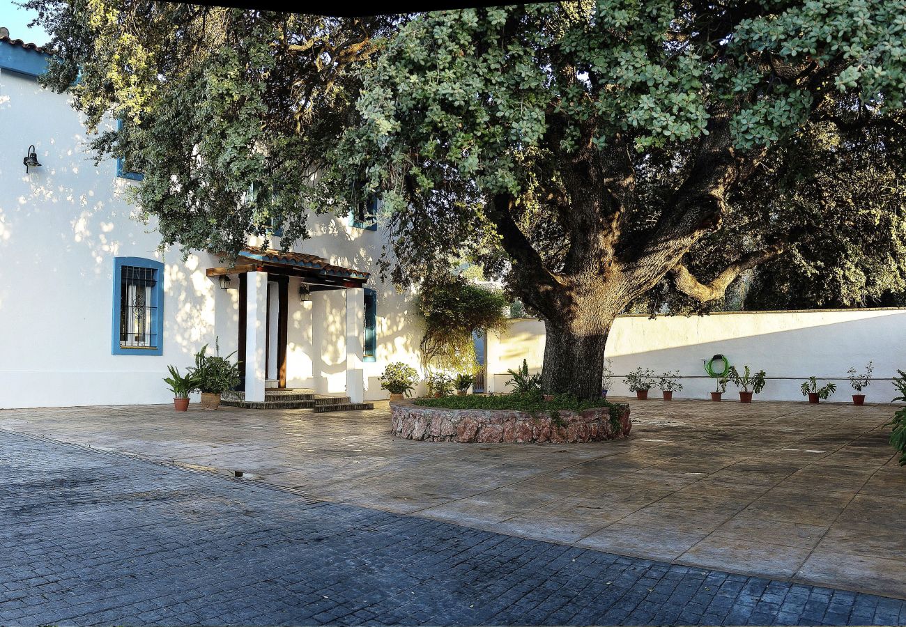 Villa/Dettached house in Alhaurín el Grande - Villa Bárbol, Alhaurín el Grande