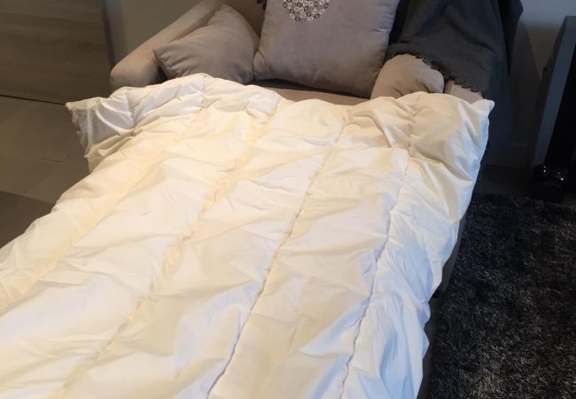 Appartement à Auxerre - Corps de ferme avec piscine à 1h30 de Paris Appartement à Auxerre - Corps de ferme avec piscine à 1h30 de Paris