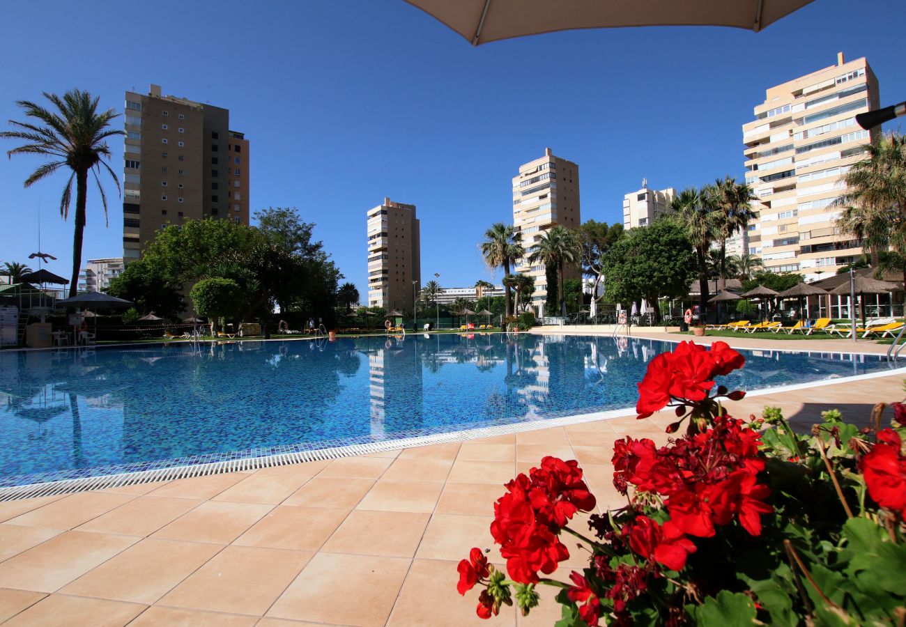 Appartement à Torremolinos - TESS Playamar Beach La Torre