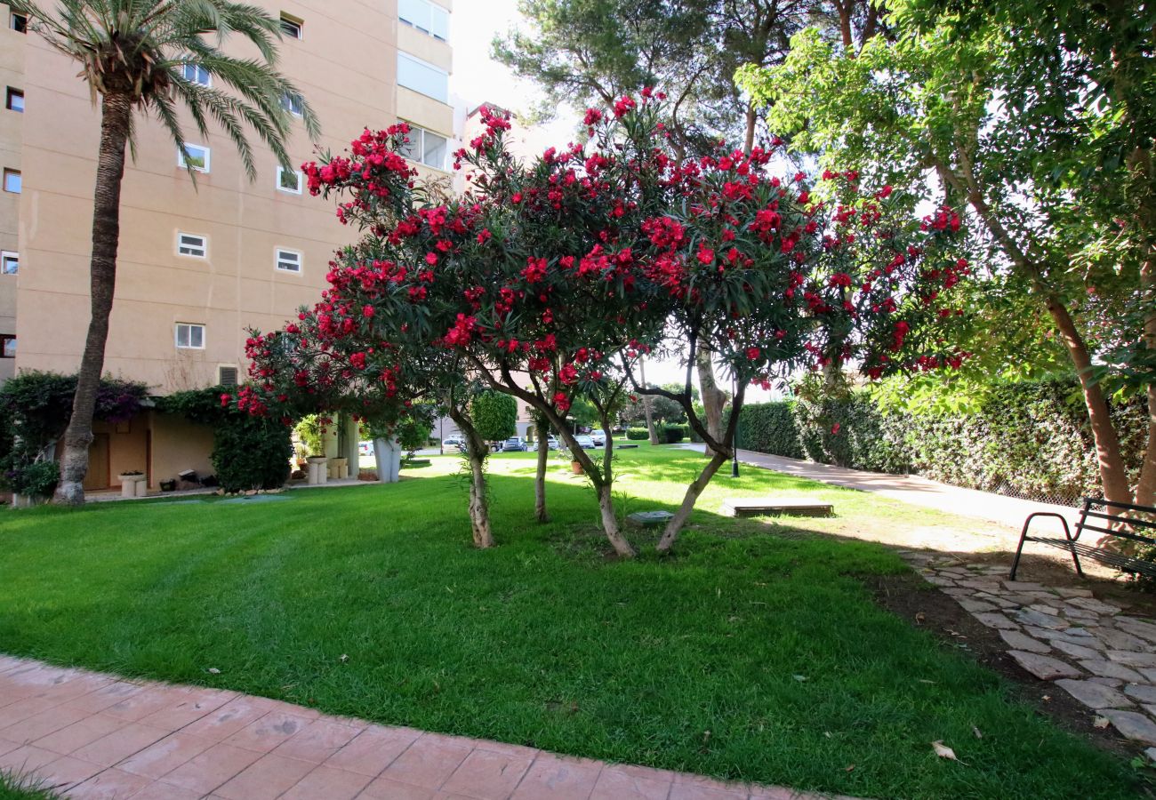 Appartement à Torremolinos - TESS Playamar Beach La Torre