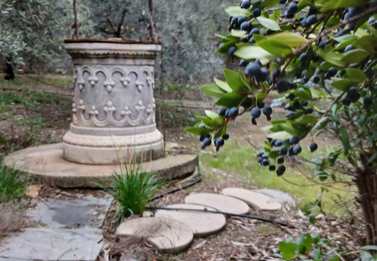 Villa à Alhaurin de la Torre - TESS CasAntillas con sabor a Las Antillas