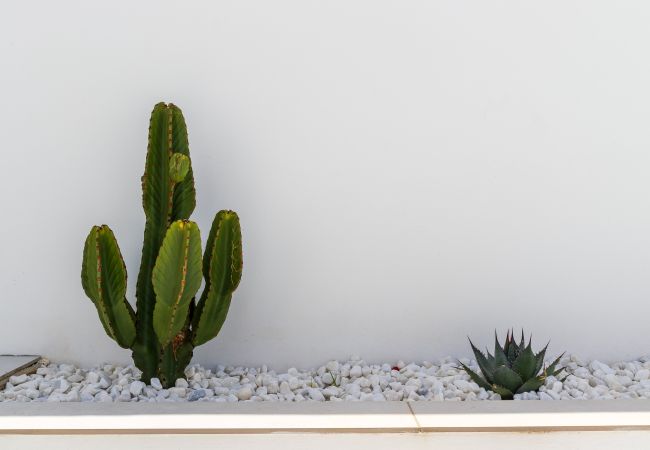 Villa à Alhaurin de la Torre - Villa Monica Villa à Alhaurin de la Torre - Villa Monica