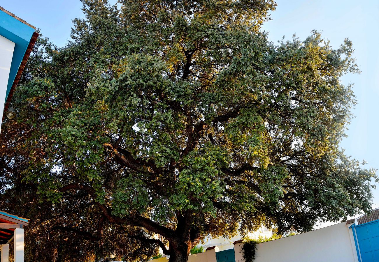 villa à Alhaurín el Grande - Villa Bárbol, Alhaurín el Grande